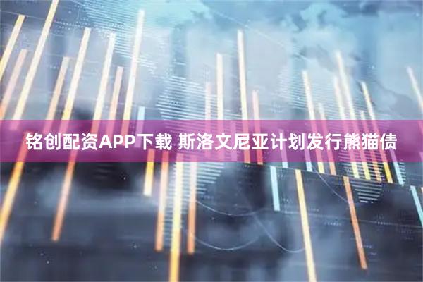 铭创配资APP下载 斯洛文尼亚计划发行熊猫债
